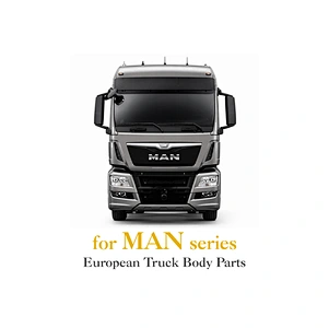Truck body parts for MAN series TGX / TGS / TGM / TGL / TGA / F2000 and More